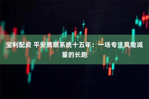 宝利配资 平安鹰眼系统十五年：一场专注风险减量的长跑
