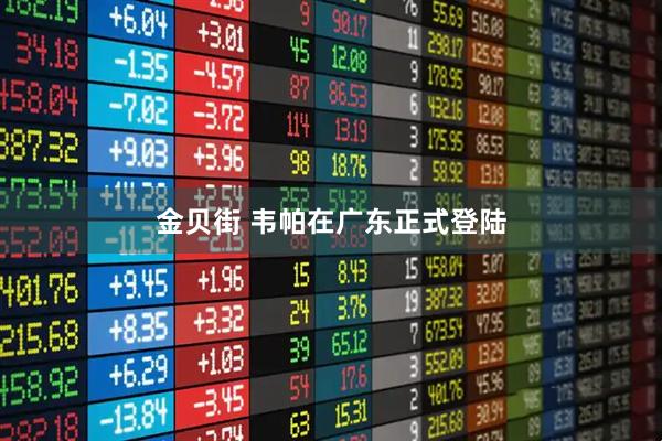 金贝街 韦帕在广东正式登陆