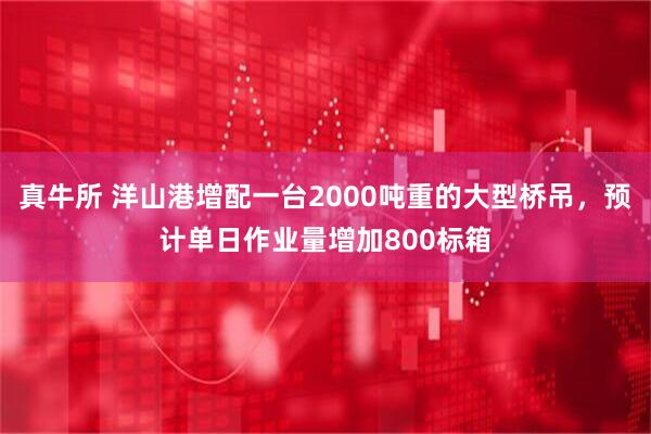 真牛所 洋山港增配一台2000吨重的大型桥吊，预计单日作业量增加800标箱