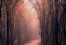 配资港股一览表 今日大盘:十大炒股杠杆平台排行榜-11月14日晚间沪深上市公司重大事项公告最新快递